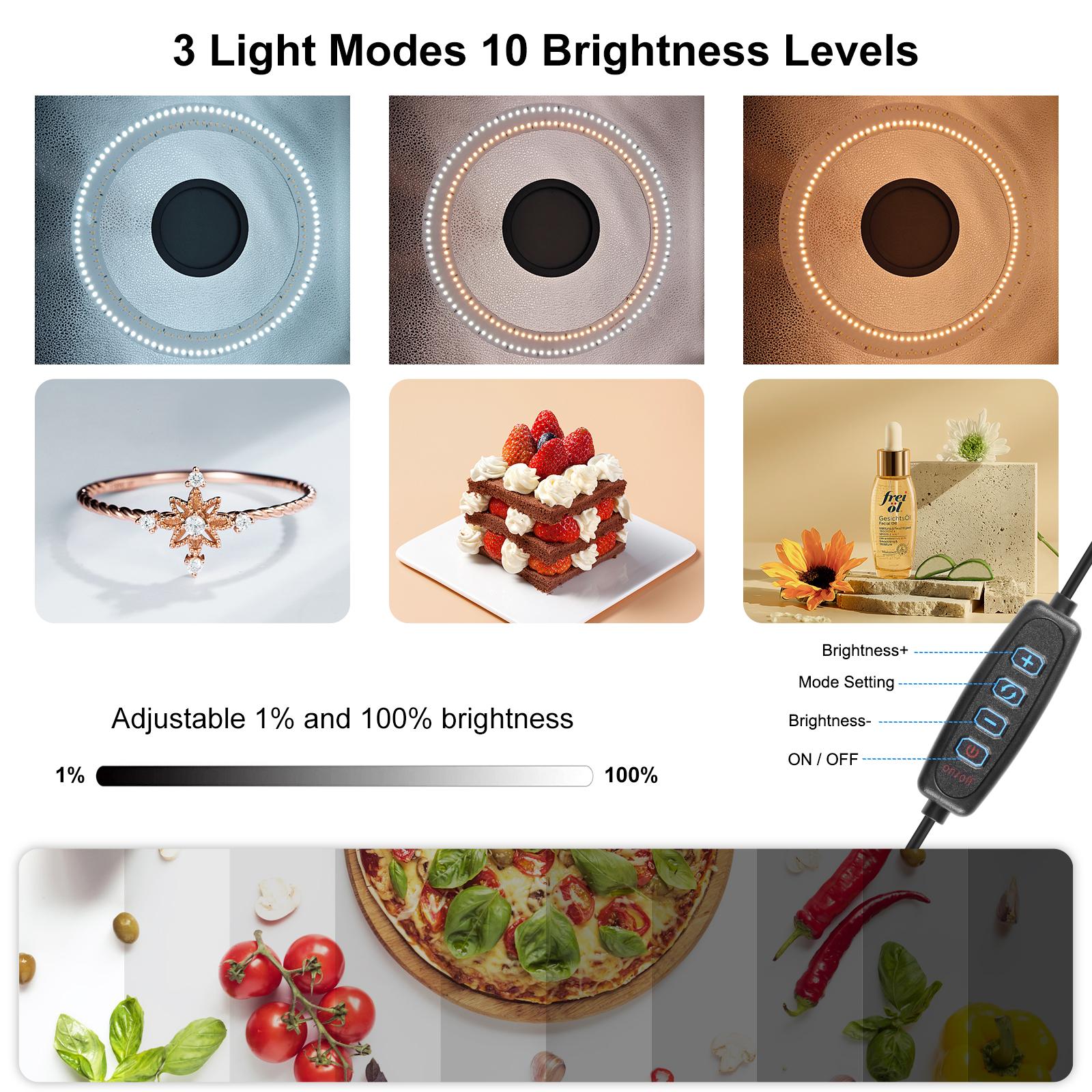 PULUZ 50cm Ring Light Lipat Po - Photography Lighting Case ulasan dan harga