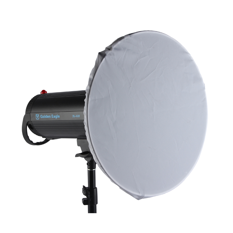 Honeycomb 42cm Beauty dish Hon - Photography Lighting Beauty Dish ulasan dan harga